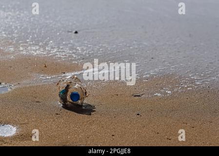 Una bottiglia di plastica si trova sulla spiaggia sabbiosa e inquina il mare e la vita marina. Il concetto di controllo dell'inquinamento dei mari e degli oceani Foto Stock