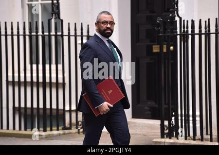 Londra, Inghilterra, Regno Unito. 23rd Mar, 2023. Il Segretario degli Esteri, JAMES, ha visto abilmente a Downing Street. (Credit Image: © Thomas Krych/ZUMA Press Wire) SOLO PER USO EDITORIALE! Non per USO commerciale! Credit: ZUMA Press, Inc./Alamy Live News Foto Stock