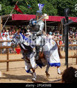 Un'immagine di un uomo che indossa un completo vestito di armatura mentre cavalca un cavallo marrone, con una bandiera tenuta in alto nell'aria Foto Stock