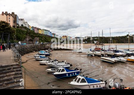 Porto di Tenby e case di città che si affacciano, Tenby, Pembrokeshire, Galles, porto di Tenby, Tenby Wales, Tenby UK, Harbour, Harbour, UK, case, barche, barche Foto Stock