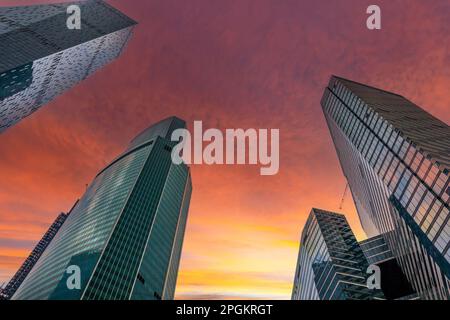 Guardando i grattacieli contro il tramonto. Foto Stock
