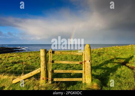 Un arcobaleno lontano sopra il Pentland Firth, da un cancello di campo vicino al villaggio di Mey, Caithness, Scozia, Regno Unito Foto Stock