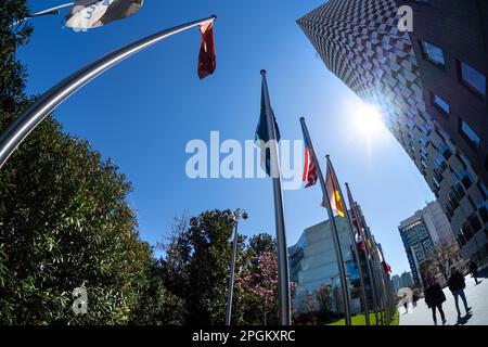 Tirana, Albania. Marzo 2023. vista fisheye tra i moderni grattacieli del centro città Foto Stock