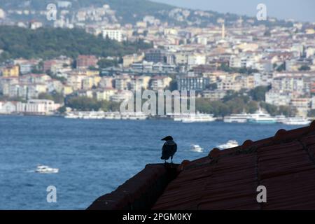 Guardando attraverso lo stretto del Bosforo da Cihangir, Beyoglu sul lato europeo a Uskudar sul lato asiatico di Istanbul, Turkiye / Turchia. Foto Stock