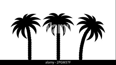 Sagome di palme isolate su sfondo bianco. Illustrazione vettoriale. Illustrazione Vettoriale