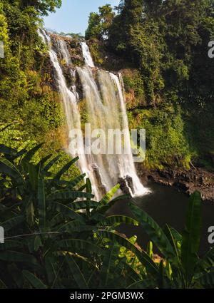 Splendida cascata Tad Yuang nell'altopiano di Bolaven. Paesaggio del Laos Foto Stock