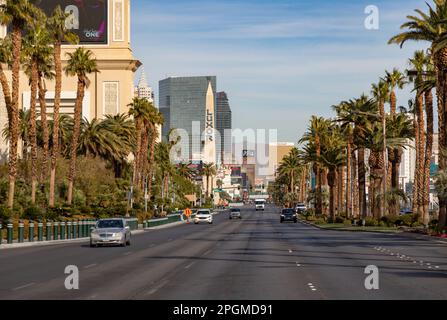 Una foto del Las Vegas Boulevard South fiancata da palme. Foto Stock