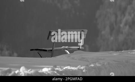 Primo piano di panca in legno nella neve in bianco e nero Foto Stock