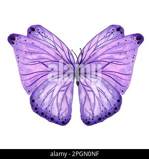 Illustrazione isolata a farfalla viola acquerello. Insetto stile botanico dipinto a mano su sfondo bianco per l'uso in matrimonio, vacanza, bambini design Foto Stock