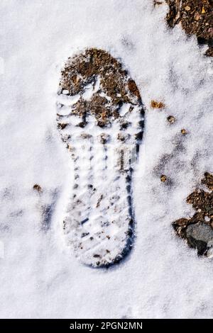 Il piede di avvio stampa nella neve; Colorado centrale; Stati Uniti Foto Stock
