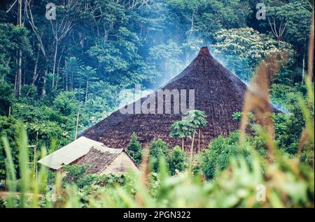 Yanomami maloca, una lunga casa ancestrale utilizzata dagli indigeni dell'Amazzonia. Ogni comunità ha un unico maloca con le sue caratteristiche uniche. Diverse famiglie con relazioni patrilineali vivono insieme in un maloca, distribuito intorno alla lunga casa in diversi compartimenti. Stato di Roraima, Brasile. Foto Stock