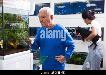 Uomo anziano che sceglie i pesci nel negozio dell'animale domestico Foto Stock