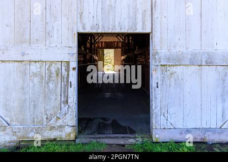 Porta aperta fienile con interni scuri ed esterni luminosi sullo storico ranch del bestiame Foto Stock