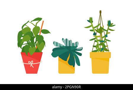 Set di piante di casa. Interni dal design scandinavo. Elemento di progettazione. Illustrazione vettoriale Illustrazione Vettoriale