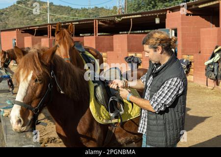 Ritratto di un operaio esperto di stalle adulte in camicia a pipa in piedi vicino al cavallo sellato in un club di campagna Foto Stock