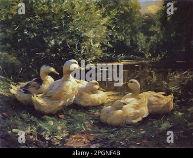 Koester Alexander - Enten am Teich 1 - Scuola tedesca - 19th e inizio 20th ° secolo - Koester Alexander - Enten am Teich 1 - Scuola tedesca - 19th e inizio 20th ° secolo Foto Stock