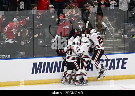 Fargo, ND, 23 marzo 2023. I compagni di squadra festeggiano con St. Il difensore di Cloud state Huskies Jack Peart (23) dopo aver segnato un gol durante una partita al torneo di hockey maschile della West Regional of the NCAA tra il Minnesota state Mankato Mavericks e St Cloud state University Huskies alla Scheels Arena di Fargo, North Dakota, giovedì 23 marzo 2023. Di Russell Hons/CSM Foto Stock