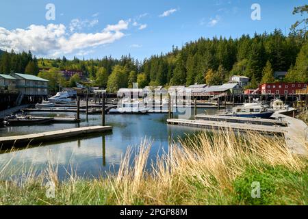 Telegraph Cove Marina e edifici storici su Pilings. Il porticciolo di Telegraph Cove e le sistemazioni costruite su pilings che circondano questo luogo storico Foto Stock