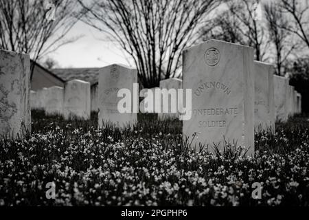 Soldati sconosciuti, il cimitero confederato di Okolona Foto Stock