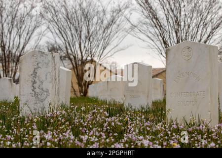 Soldati sconosciuti, il cimitero confederato di Okolona Foto Stock