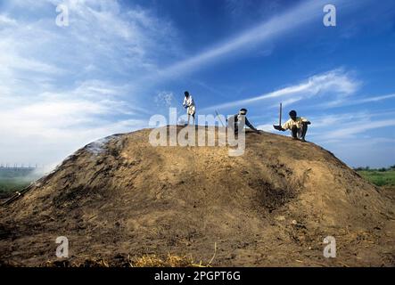 Processo di preparazione per fare carbone da legno di fuoco vicino Ramanathapuram, Tamil Nadu, India, Asia Foto Stock