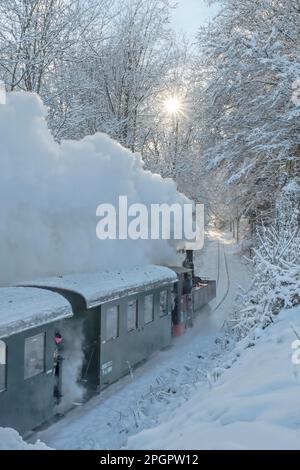 Giro invernale in locomotiva a vapore della ferrovia del museo Steyrtalbahn a Gruenburg, Austria superiore, Austria Foto Stock