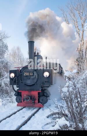 Giro invernale in locomotiva a vapore della ferrovia del museo Steyrtalbahn a Gruenburg, Austria superiore, Austria Foto Stock