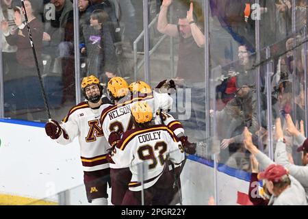 Fargo, North Dakota, giovedì 23 marzo 2023. I compagni di squadra si riuniscono intorno ai Minnesota Gophers Forward Jimmy Snuggerud (81) dopo aver segnato un gol durante una partita al torneo di hockey maschile della West Regional of the NCAA tra il Canisius College Golden Griffins e la University of Minnesota Golden Gophers alla Scheels Arena di Fargo, ND, giovedì 23 marzo. 2023. Minnesota ha vinto 9-2. Di Russell Hons/CSM Foto Stock