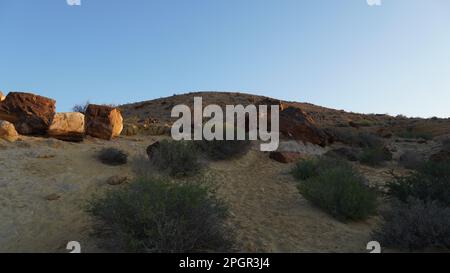 I fossili di tronco d'albero sono sul fondo del cratere Makhtesh Gadol, nel sud di Israele, deserto del Negev. Legno pietrificato è completamente transitato a. Foto Stock