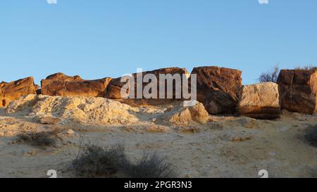 I fossili di tronco d'albero sono sul fondo del cratere Makhtesh Gadol, nel sud di Israele, deserto del Negev. Legno pietrificato è completamente transitato a. Foto Stock