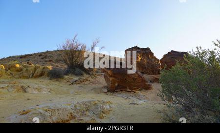 I fossili di tronco d'albero sono sul fondo del cratere Makhtesh Gadol, nel sud di Israele, deserto del Negev. Legno pietrificato è completamente transitato a. Foto Stock