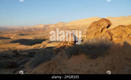 I fossili di tronco d'albero sono sul fondo del cratere Makhtesh Gadol, nel sud di Israele, deserto del Negev. Legno pietrificato è completamente transitato a. Foto Stock