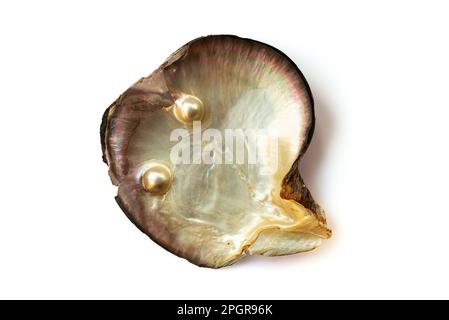 Ostrica madreperla, con due perle, isolata su fondo bianco Foto Stock