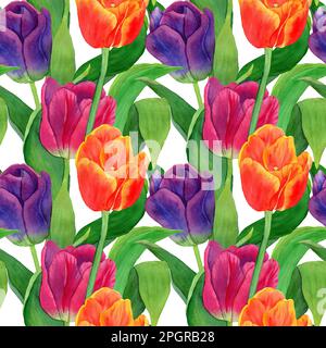 Acquerello disegno a mano di tulipani rossi, rosa e viola. Fiori di primavera brillanti su sfondo senza cuciture. Disegno botanico per tessuto, carta da imballaggio, Foto Stock