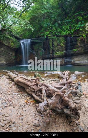 Di fronte alla cascata di Wanggu c'è un grande driftwood. Il luogo segreto della foresta di montagna, il lago è verde smeraldo da sogno. Pingxi, New Taipei City. Foto Stock