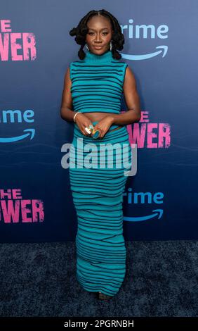 New York, Stati Uniti. 23rd Mar, 2023. Heather Agyepong vestito da Hanifa partecipa alla prima serie di Amazon prime Video The Power at DGA Theater (Photo by Lev Radin/Pacific Press) Credit: Pacific Press Media Production Corp./Alamy Live News Foto Stock