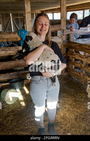 Giovane donna che tiene un piccolo agnello nel ovile. Donna contadina in pecora di pecora di pecora Foto Stock