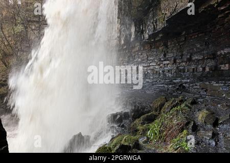 Ashgill Force, North Pennines, Garrigill, Cumbria, Regno Unito Foto Stock