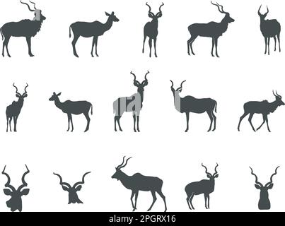 Kudu Silhouette, Kudu Horn Silhouette, Antlers Silhouette, Kudu Head, Kudu SVG , Kudu Capo Silhouettes Illustrazione Vettoriale