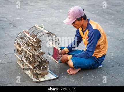 Phnom Penh, Cambogia-Dicembre 23rd 2022:piccoli uccelli, tenuti in una gabbia, sono acquistati individualmente dai buddisti Khmer, che li rilasciano in aria, come wi Foto Stock