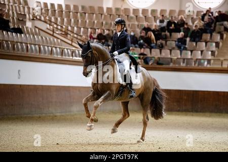 Scuola reale Andalusa di Arte Equestre, Jerez de la Frontera, Spagna. 24 marzo 2022. Morgan Barbancon Mestre (fra) equitazione Habana Libre A (KWPN) Foto Stock