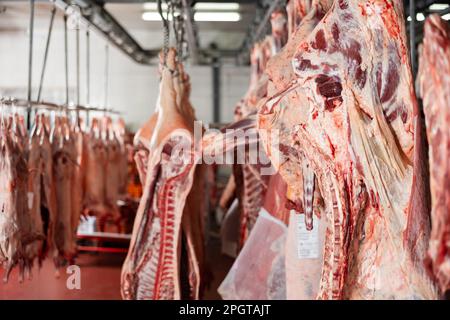 Carcasse crude di manzo, maiale e agnelli appesi in macelleria Foto Stock