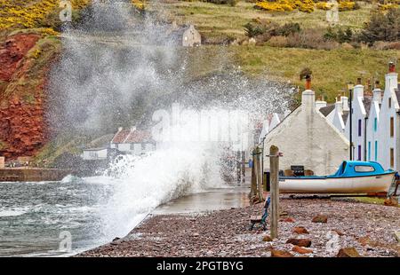 Pennan villaggio Aberdeenshire Scozia un'alta marea e schiantarsi schiuma da onde che si rompono sulla fila di case Foto Stock