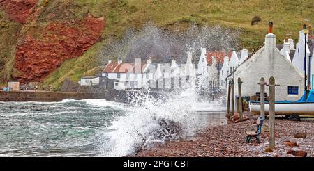 Pennan villaggio Aberdeenshire Scozia una marea molto alta e le onde con ciottoli che si schiantano sulla fila di case Foto Stock