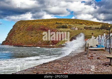 Pennan villaggio Aberdeenshire Scozia una marea molto alta con onde schiuma e ciottoli che si rompono sulla fila di case Foto Stock