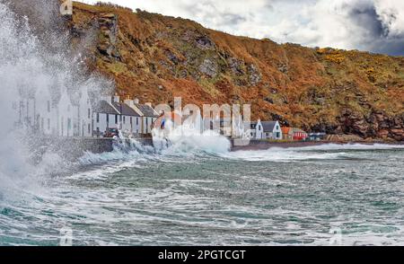 Pennan villaggio Aberdeenshire Scozia alta marea e schiuma e spray da grandi onde che si rompono sulla fila di case Foto Stock