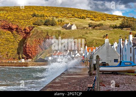 Pennan villaggio Aberdeenshire Scozia marea molto alta e schiume che si schiantano sulla parete del mare e sopra la scatola telefonica rossa Foto Stock