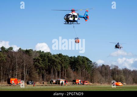 Bad Zwischenahn, Germania. 24th Mar, 2023. Elicotteri della polizia provenienti dalla bassa Sassonia (di fronte) e dalla Sassonia sorvolano un campo aereo con contenitori per l'acqua antincendio noti come Bambi Buckets. Gli squadroni di elicotteri della polizia della bassa Sassonia, Sassonia e Baviera stanno provando per le emergenze in due giorni nel distretto di Ammerland della bassa Sassonia. Circa 60 poliziotti e vigili del fuoco si eserciteranno a combattere gli incendi boschivi e boschivi dall'aria fino a sabato, Credit: Hauke-Christian Dittrich/dpa/Alamy Live News Foto Stock