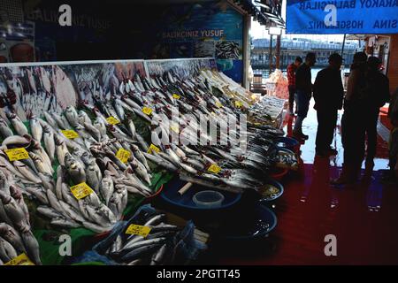 Pesce fresco intero e frutti di mare in vendita tra i venditori al mercato del pesce Galata a Karakoy sul lato europeo di Istanbul, Turchia / Turkiye. Foto Stock