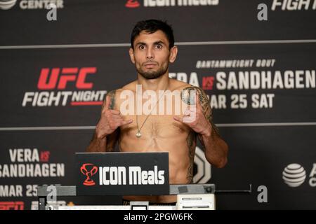 SAN ANTONIO, TEXAS, STATI UNITI. 24th Mar, 2023. SAN ANTONIO, TX - Marzo 24: Alex Perez si scalda sulla scala per i pesini ufficiali al Westin San Antonio North per UFC Fight Night - vera vs Sandhagen - Weigh-ins il 24 Marzo 2023 a SAN ANTONIO, Stati Uniti. (Credit Image: © Louis Grasse/PX Imagens via ZUMA Press Wire) SOLO PER USO EDITORIALE! Non per USO commerciale! Foto Stock